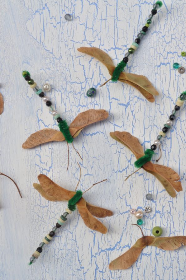 Basteln mit Kindern im Herbst: Libellen aus Ahornsamen und Pfeifenputzern. Süße Idee die man leicht mit Perlen, Bügelperlen und anderen Materialien verändern kann. 